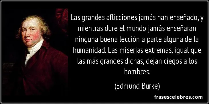 10038 21201 - Edmund Burke Frases
