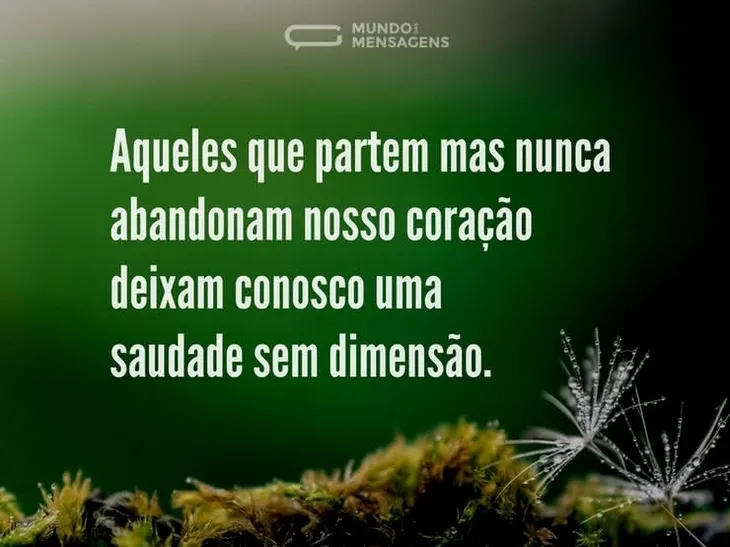 10139 15027 - Santo Agostinho Frases Morte