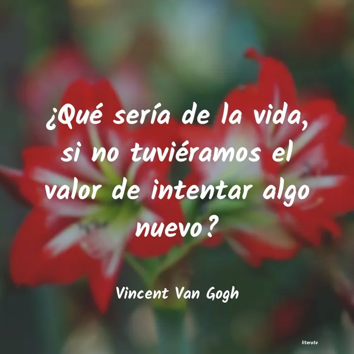 10147 89833 - Frases Van Gogh