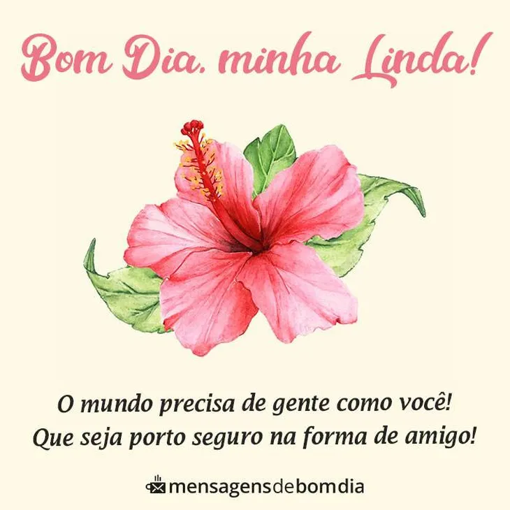 10216 63643 - Bom Dia Amiga