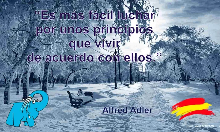 10220 91804 - Alfred Adler Frases