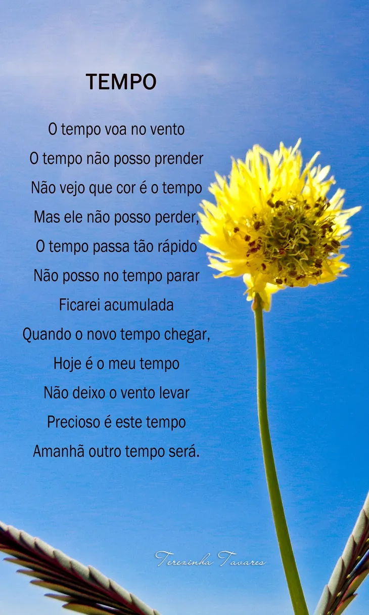 10254 45950 - Poesia Sobre O Tempo
