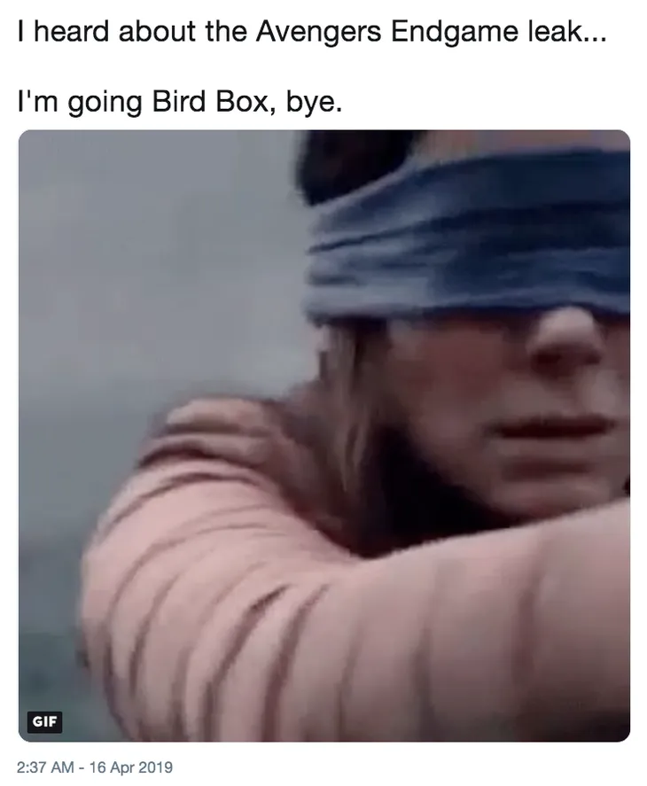 1028 7150 - Memes Bird Box