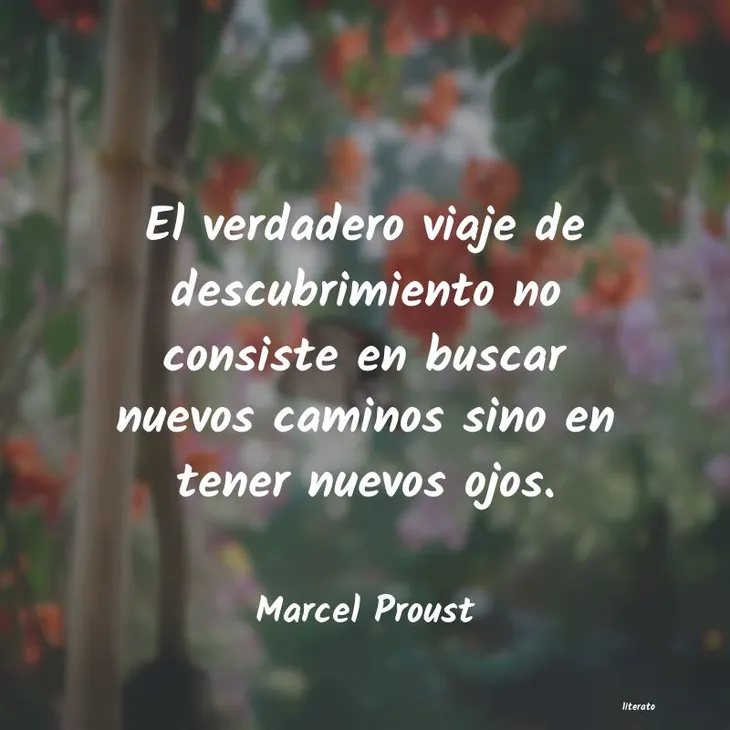 10283 62058 - Frases Marcel Proust
