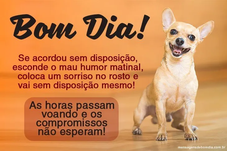 10327 12309 - Bom Dia Engraçado