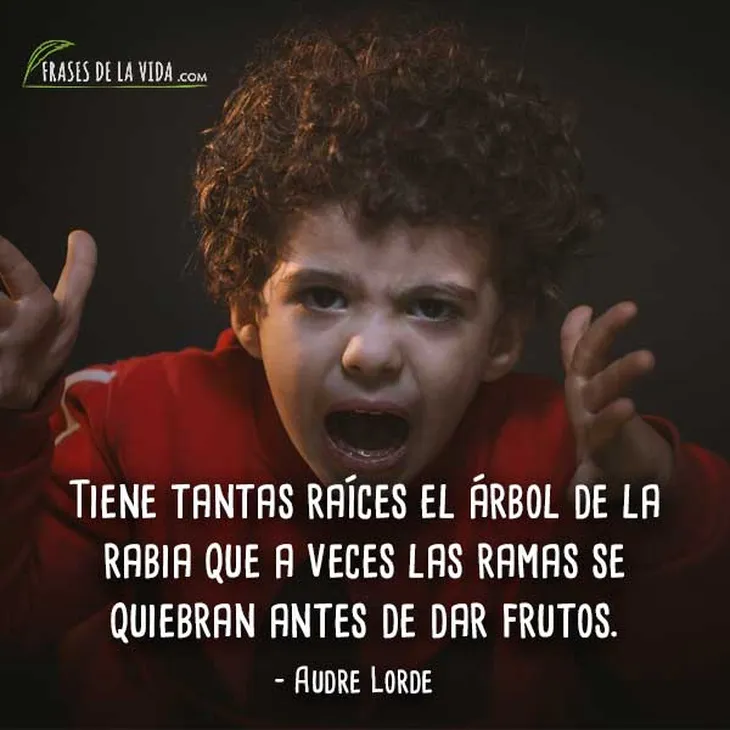 10335 108109 - Audre Lorde Frases
