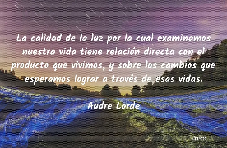 10335 108119 - Audre Lorde Frases