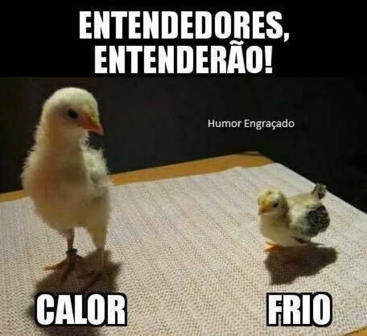 10475 102943 - Memes De Frio Engraçados