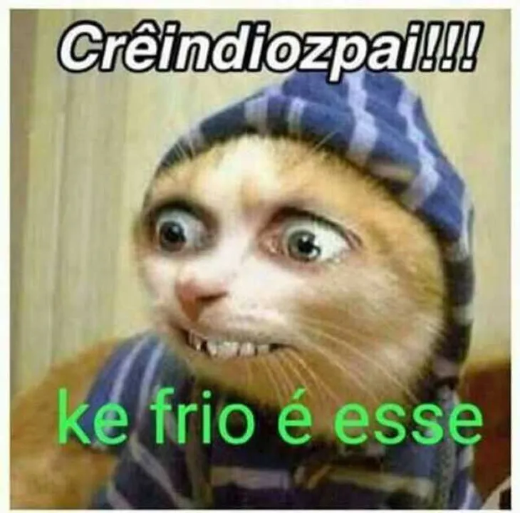 10475 102955 - Memes De Frio Engraçados