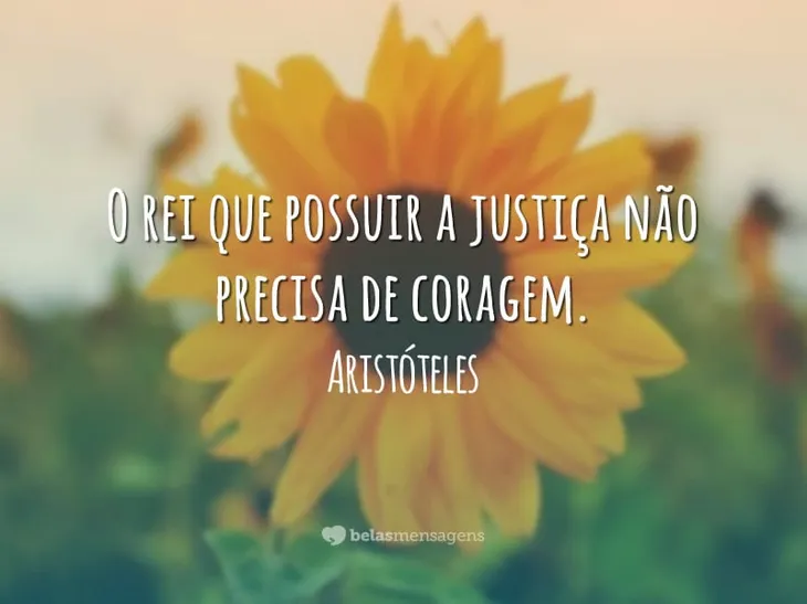 10503 6725 - Frases De Justiça