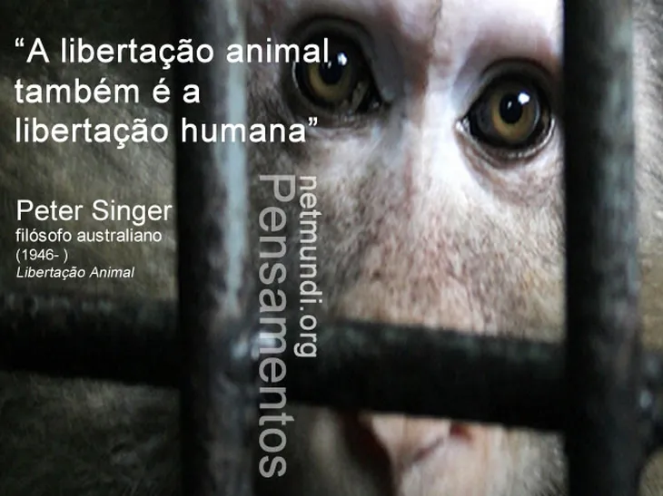 10541 61722 - Frases Veganas