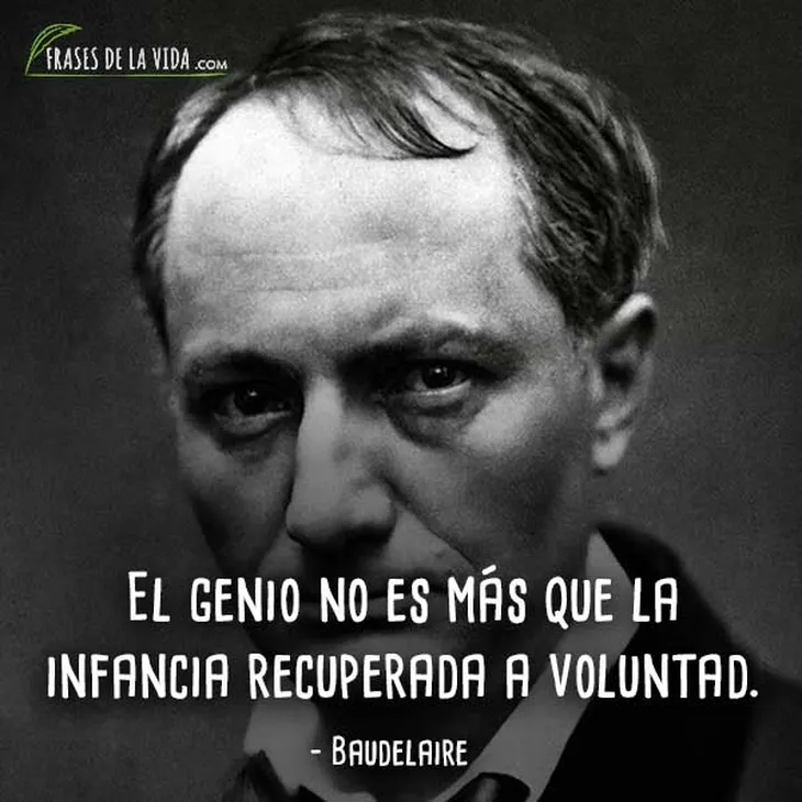 1066 110642 - Frases Baudelaire