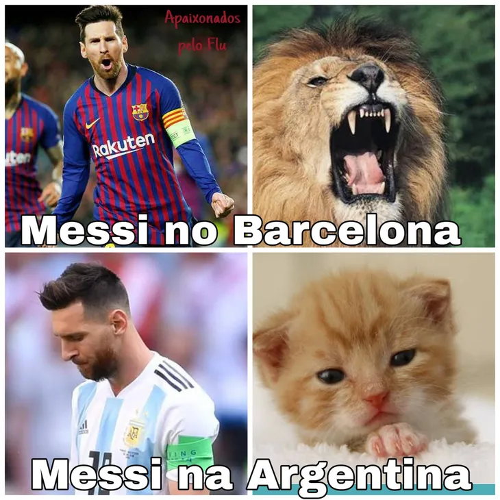 107 62509 - Memes Argentina