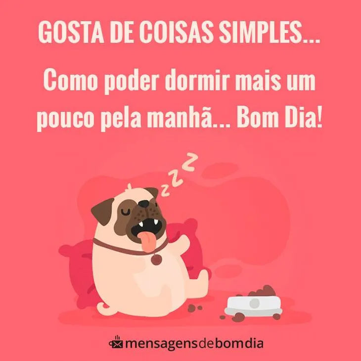 1084 54795 - Bom Dia Gata