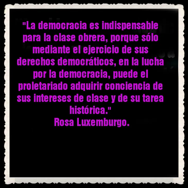 1098 49318 - Rosa Luxemburgo Frases