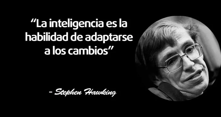 1130 19912 - Stephen Hawking Frases