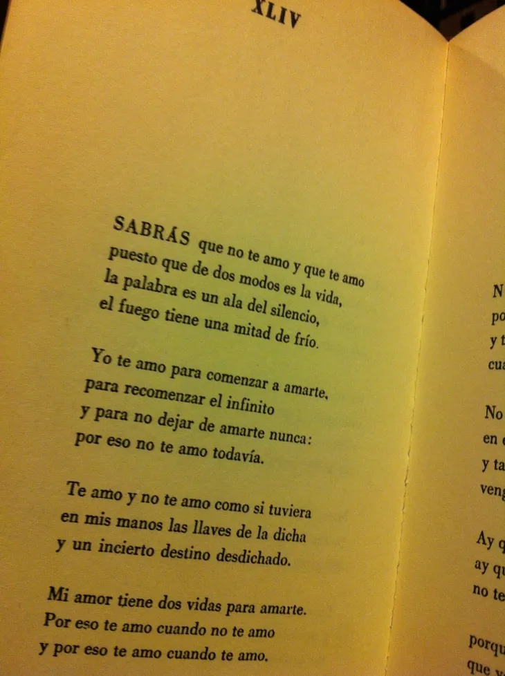 1197 44586 - Te Amo Pablo Neruda