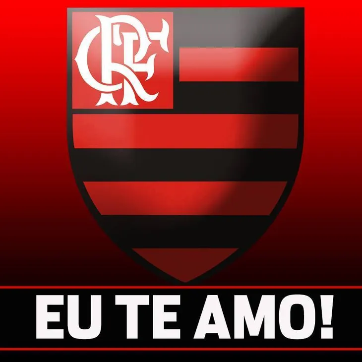 1383 89111 - Frases Flamengo