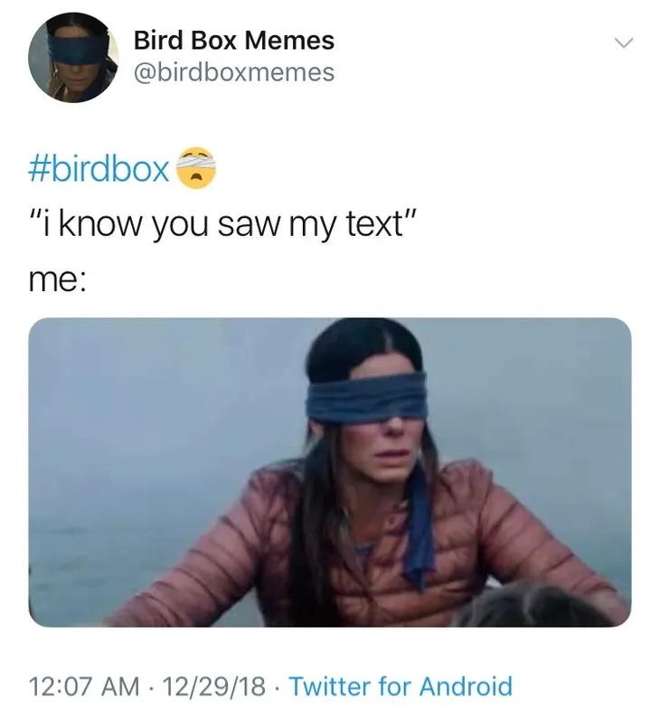 1416 50709 - Bird Box Memes