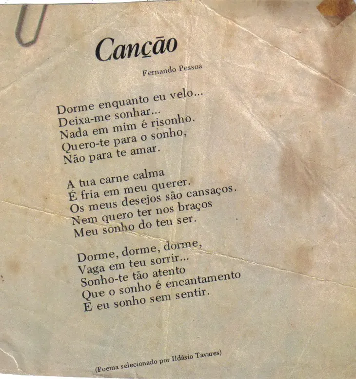 1460 28850 - Flores Poema Fernando Pessoa