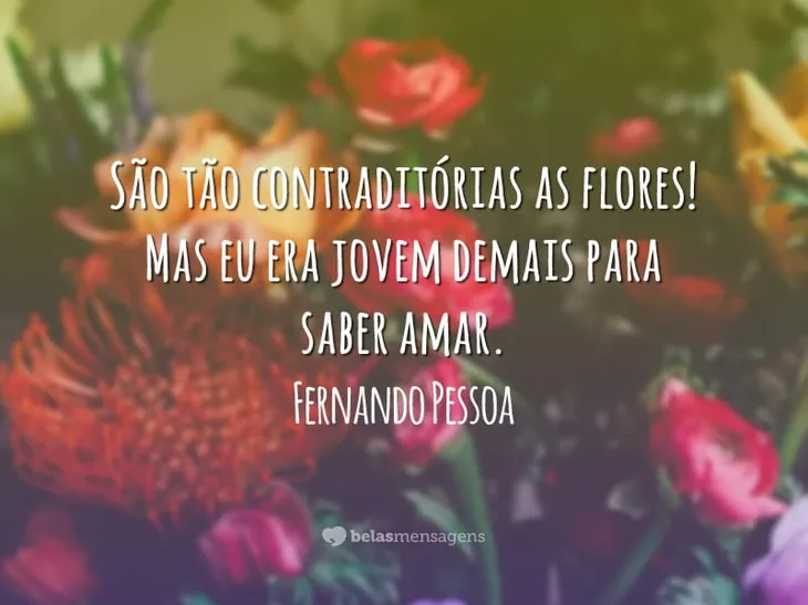 1460 28853 - Flores Poema Fernando Pessoa