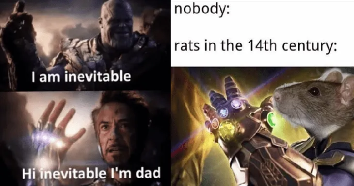 1478 4669 - Memes Thanos