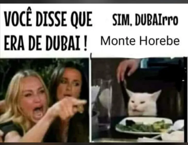 149 101182 - Memes Churrasco