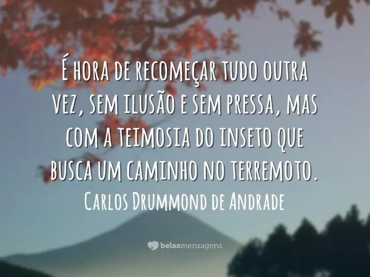 1498 33686 - Citações Carlos Drummond De Andrade