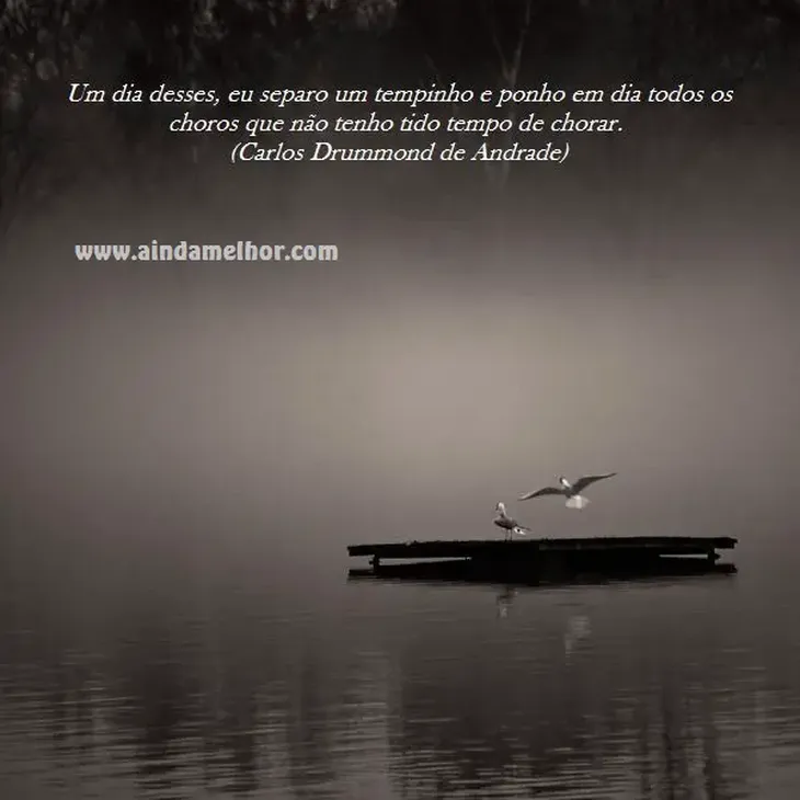 1498 33695 - Citações Carlos Drummond De Andrade