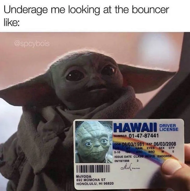 1564 36079 - Memes Baby Yoda