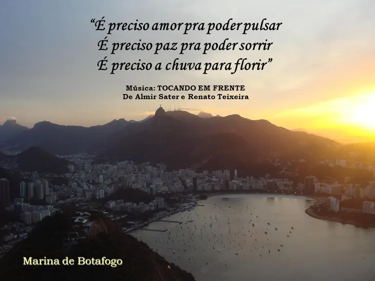 1566 45897 - Frases Sobre Rio
