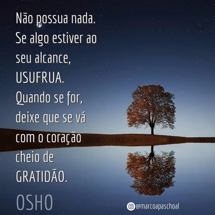1566 45901 - Frases Sobre Rio