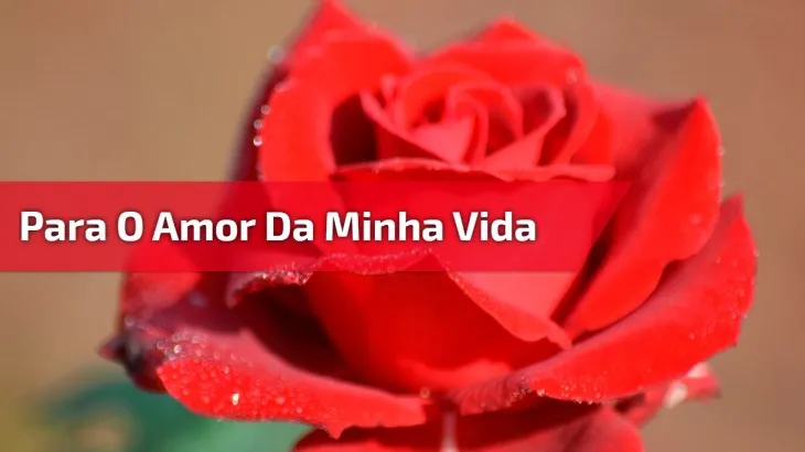 1608 86543 - Mensagem De Amor Para Esposa