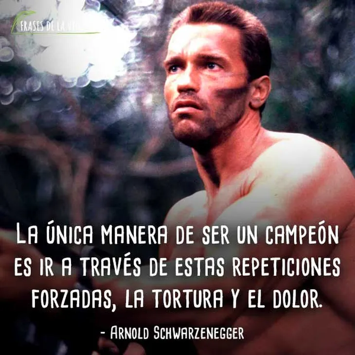 1660 8783 - Frases De Arnold Schwarzenegger