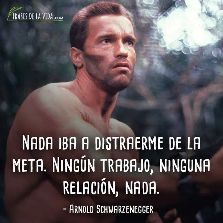 1660 8800 - Frases De Arnold Schwarzenegger