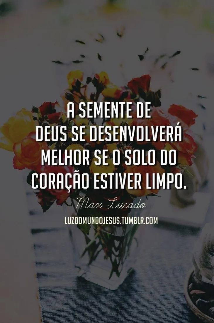 1763 29841 - Frases Do Max Lucado