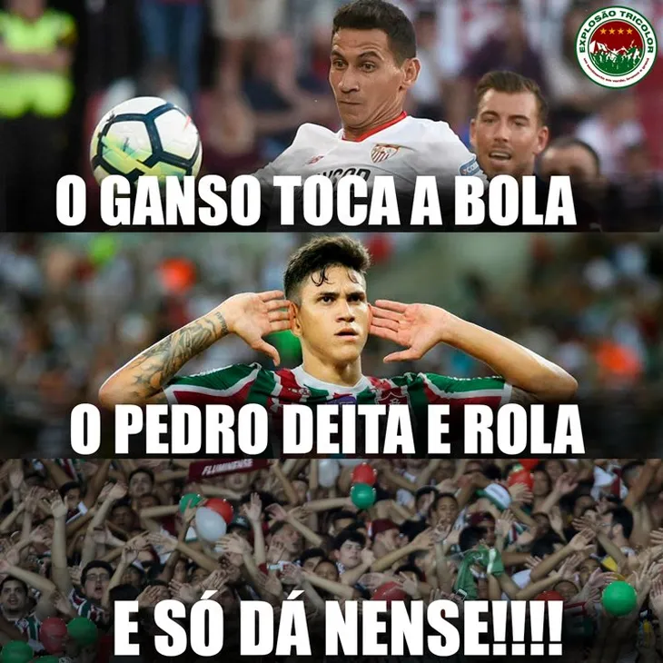 1807 41957 - Memes Do Fluminense