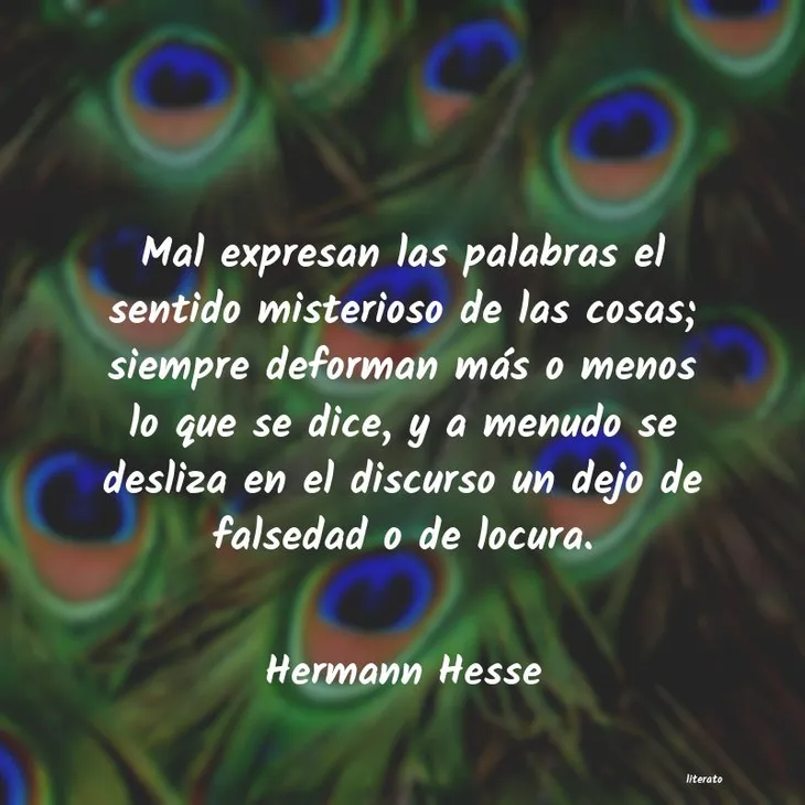 207 97433 - Hermann Hesse Frases
