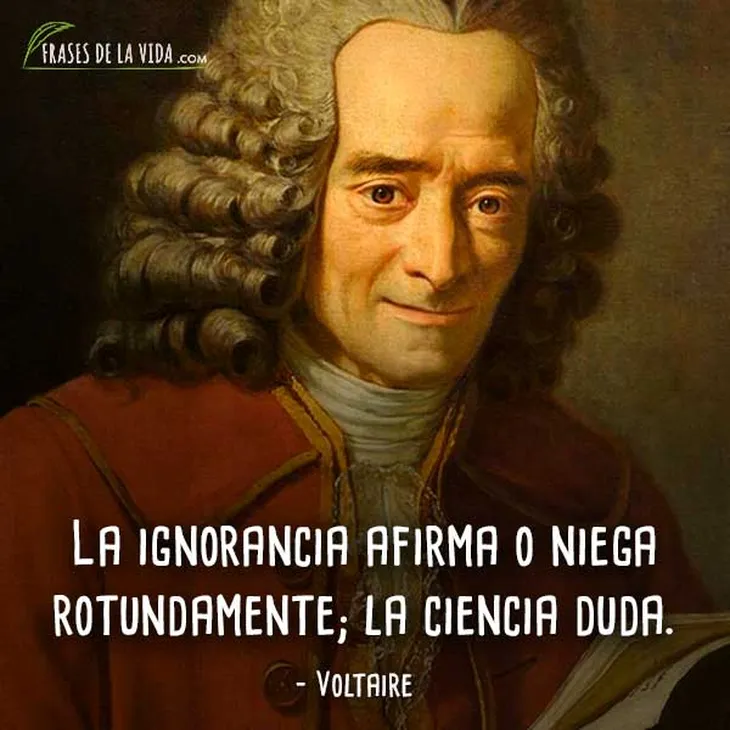 2087 54968 - Voltaire Frases