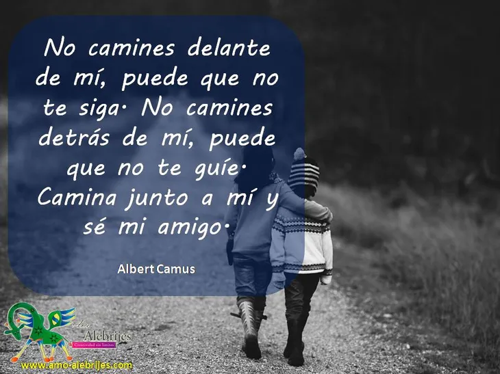 213 82127 - Albert Camus Frases