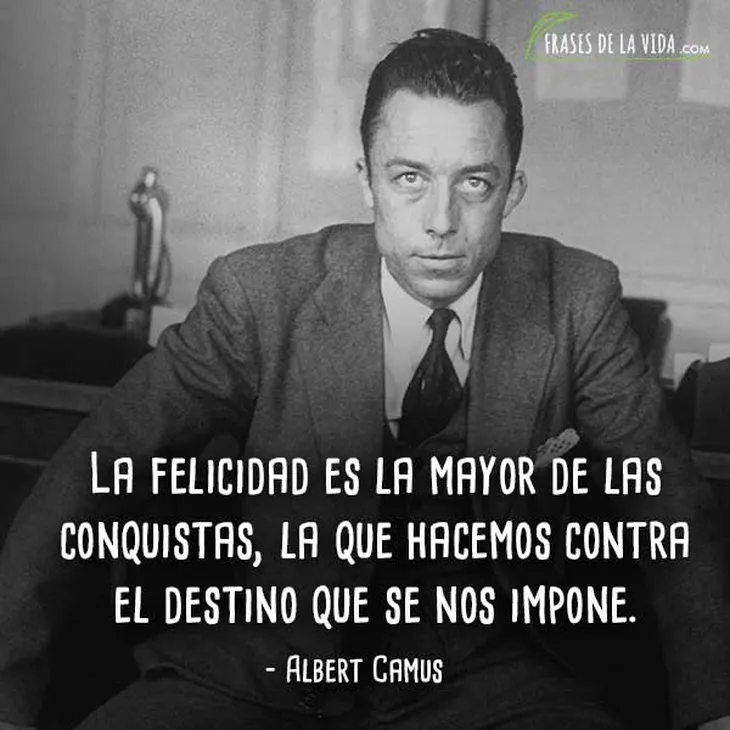 213 82132 - Albert Camus Frases