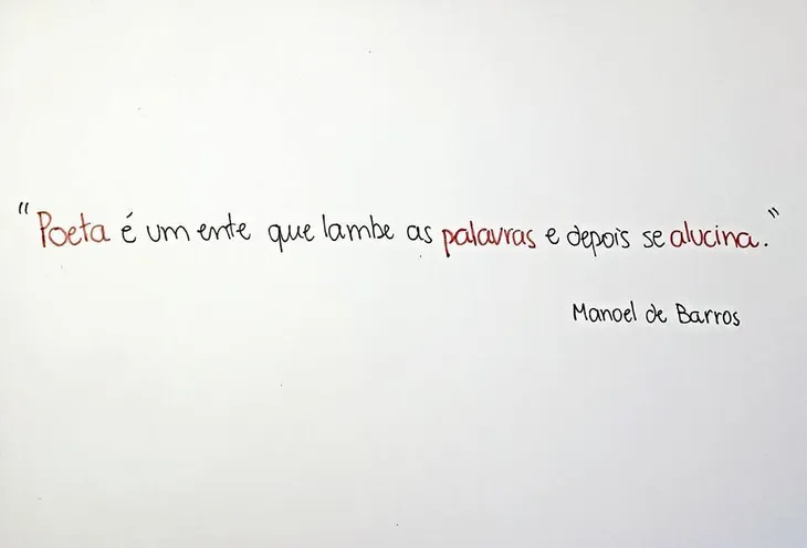 2238 32512 - Manoel De Barros Frases