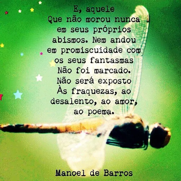 2238 32518 - Manoel De Barros Frases