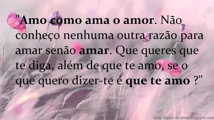 2284 66035 - Amo Como Ama O Amor