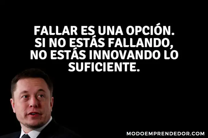 2391 19198 - Frases Elon Musk