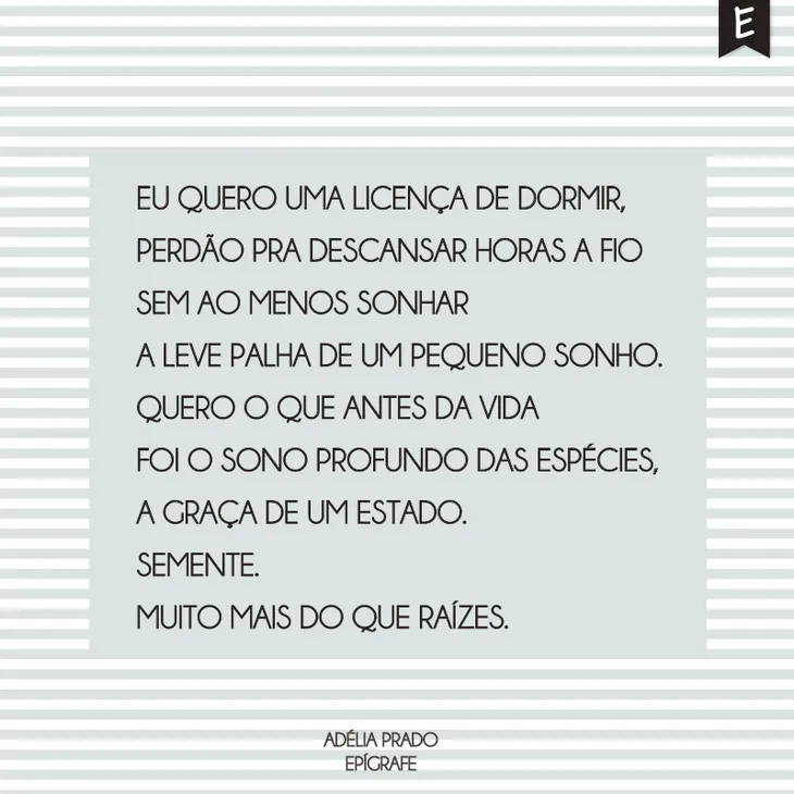 2399 40962 - Adelia Prado Frases