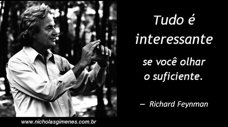 243 3202 - Richard Feynman Frases