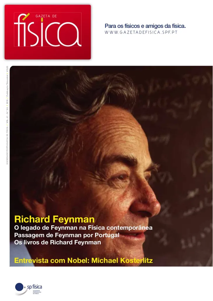 243 3204 - Richard Feynman Frases