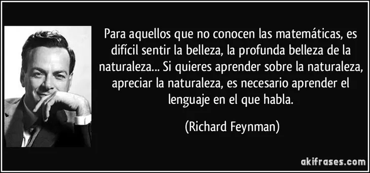 243 3221 - Richard Feynman Frases