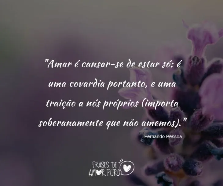 2465 39102 - Frases Amar É